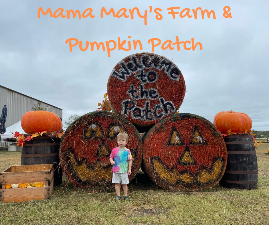 Best Kept Secret in Austin: Mama Mary's Farm - Austin Fun for Kids
