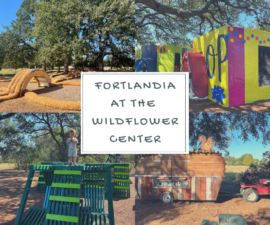 fortlandia at the wildflower center