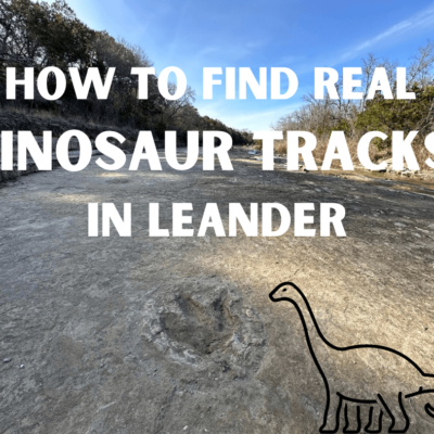 How To Find Real Dinosaur Tracks In Leander (1)