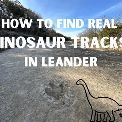 How To Find Real Dinosaur Tracks In Leander (1)