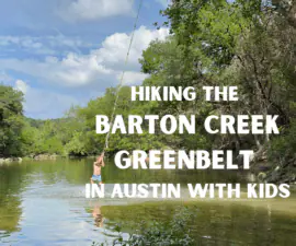 Hiking the Barton Creek Greenbelt in Austin With Kids