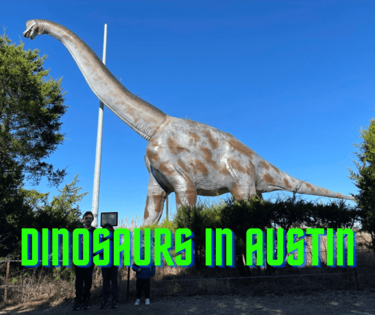 You Will Love These Austin Spots With Dinosaurs