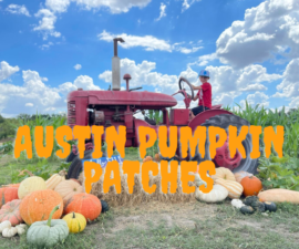 austin pumpkin patches (Instagram Post (Square)) (Facebook Post)