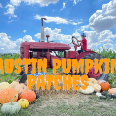 austin pumpkin patches (Instagram Post (Square)) (Facebook Post)