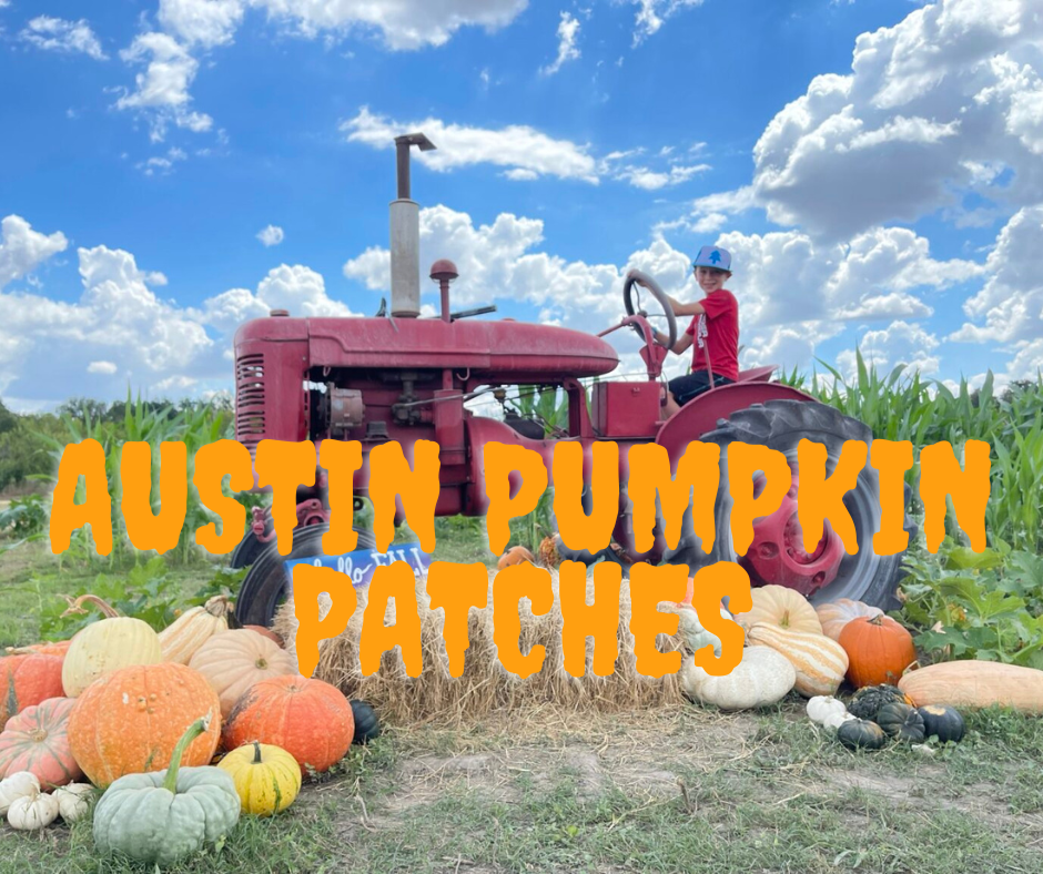 All The Best Austin Pumpkin Patches 2022 - Austin Fun for Kids