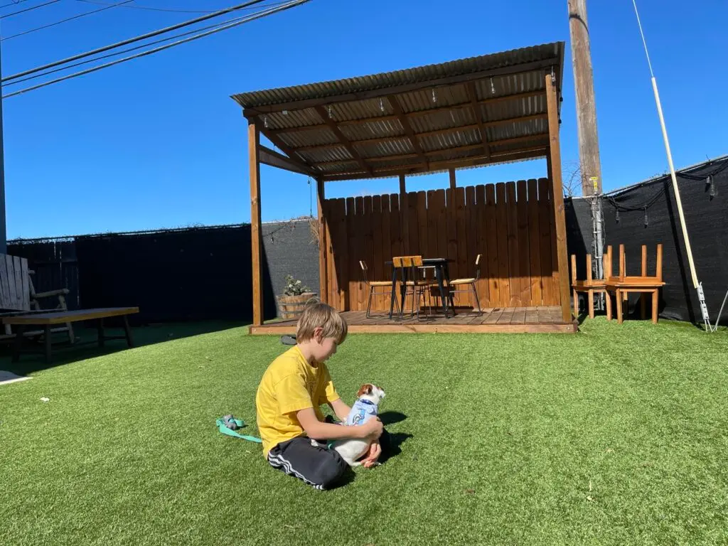 Child plays with a puppy in the grassy turf at Barking Armadillo