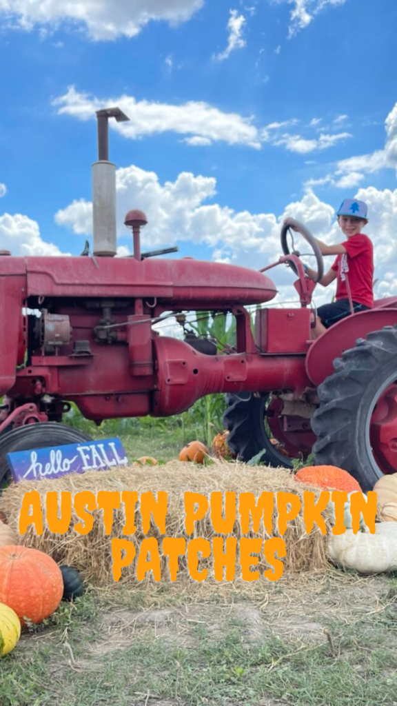 Pumpkin patch 🎃🎃 #fall #2017 #tjmaxx #harvest #endcaps