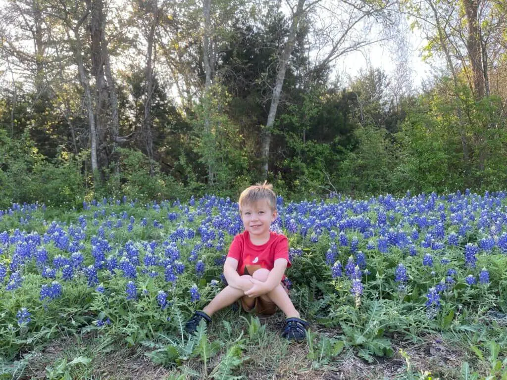 Child sitting among bluebonnets at McKinney Falls in Austin, Texas