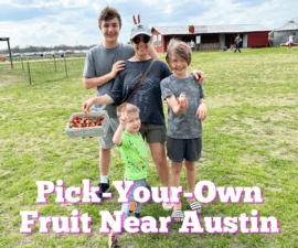 Picking Your Own Fruit Near Austin