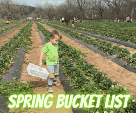 Spring Bucket List For Kids in Austin