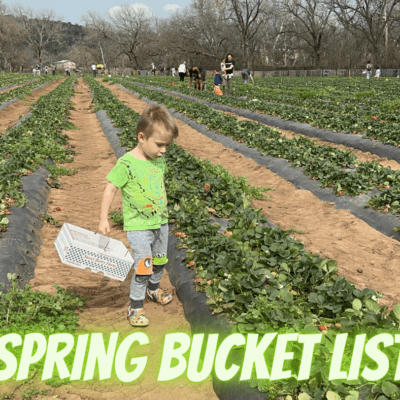 Spring Bucket List For Kids in Austin