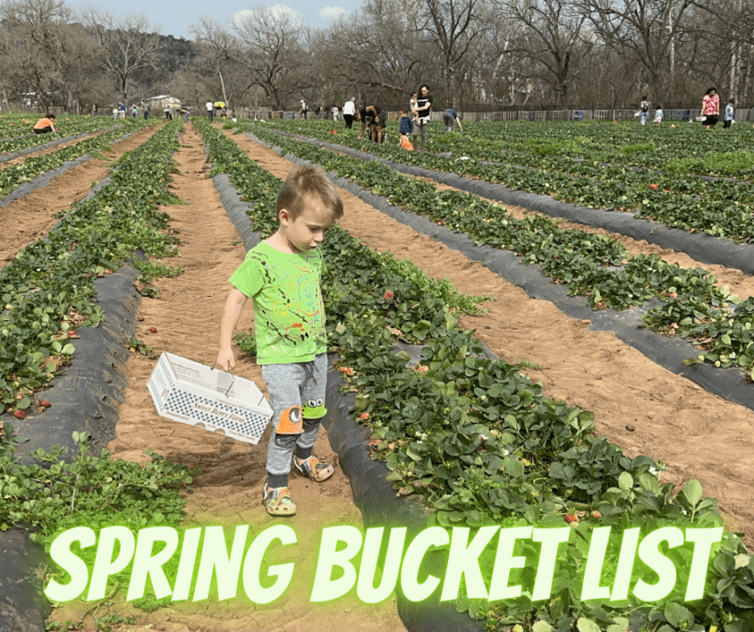 Spring Bucket List For Kids in Austin