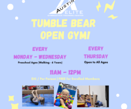 Tumble Bear Open Gym! (1)