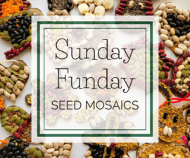 SunFun+Seed+Mosaics