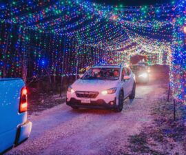 CAR-Under-Light-Tunnel-SR-1-min-scaled