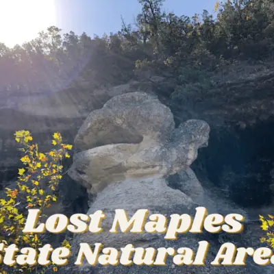 Lost Maples State Natural Area (1)