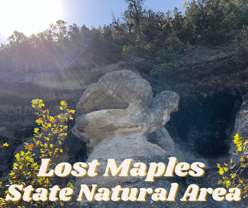 Lost Maples State Natural Area (1)