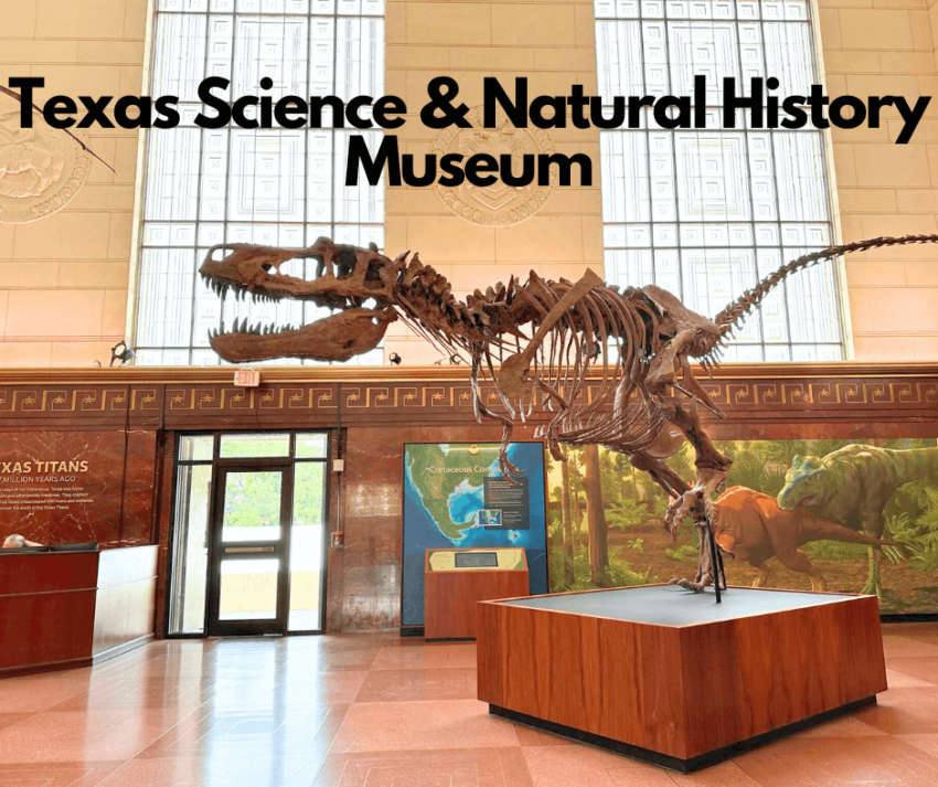 Texas Science & Natural History Museum (1)