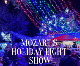 Mozart's Holiday Light Show (1)