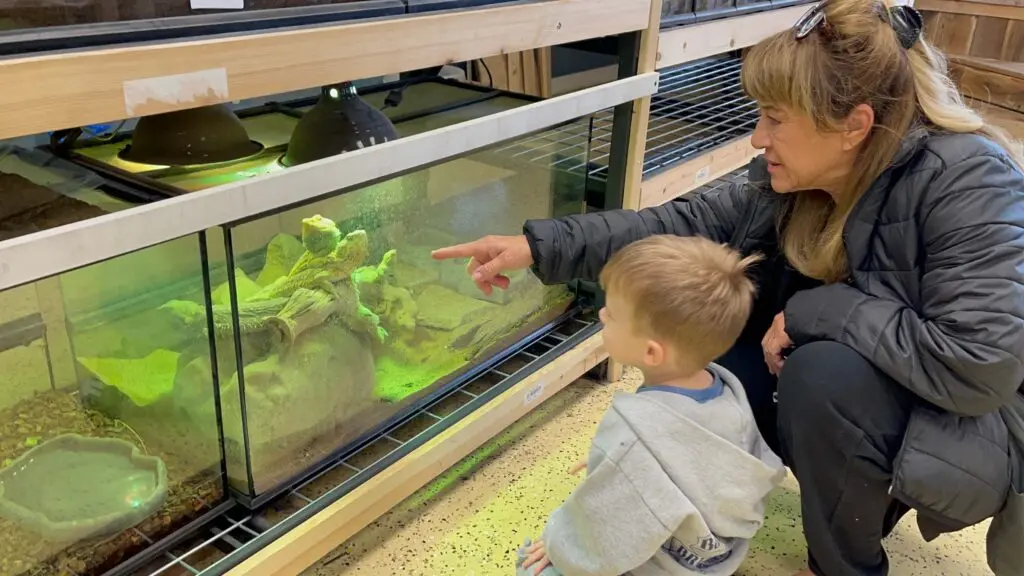 Child and grandma looking at iguana at Zookeeper Exotics