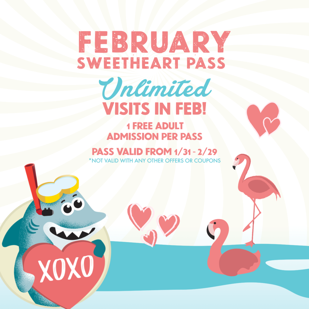 valentines day events for kids in austin