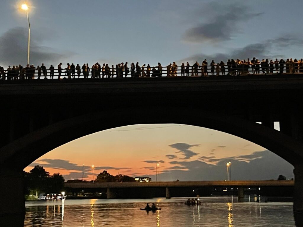 see the austin bats on the south congress bridge
