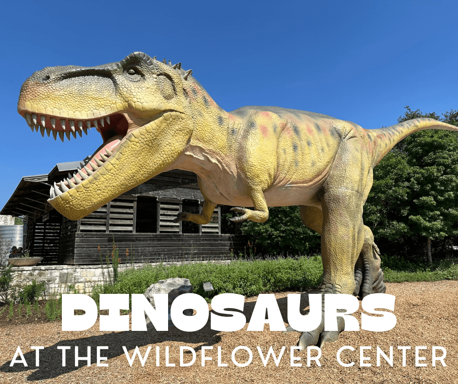 dinosaurs around the world at the wildflower center