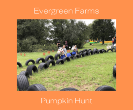 Evergreen Farms (1)