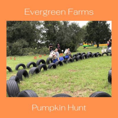 Evergreen Farms (1)