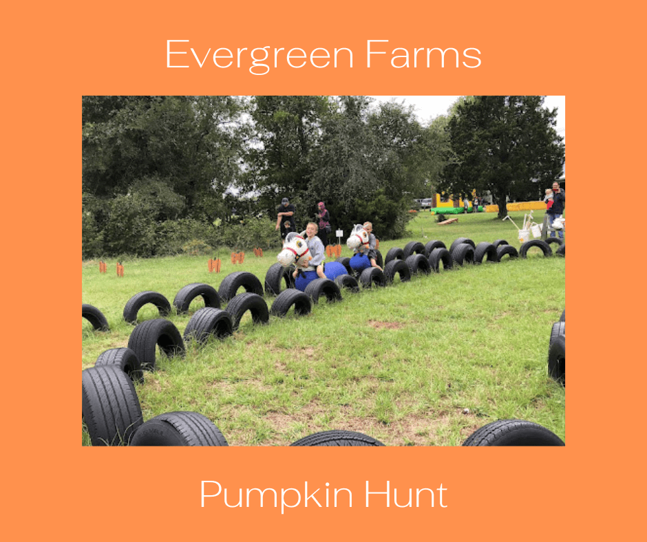 evergreen farms pumpkin hunt