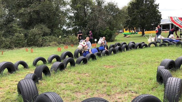 Evergreen Farms Pumpkin Hunt