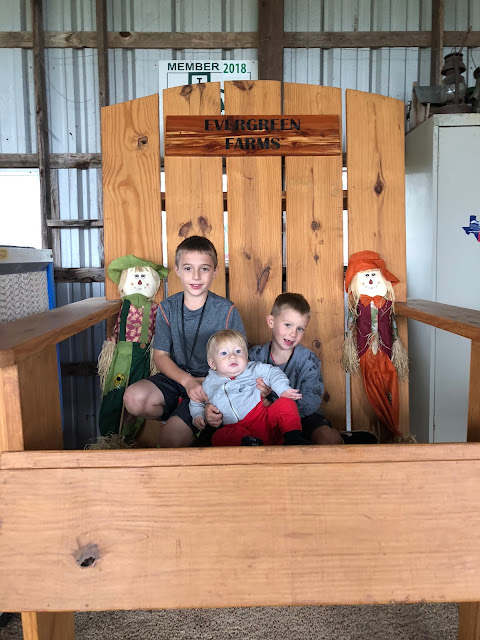 the giant chair at Evergreen Farms Pumpkin Hunt