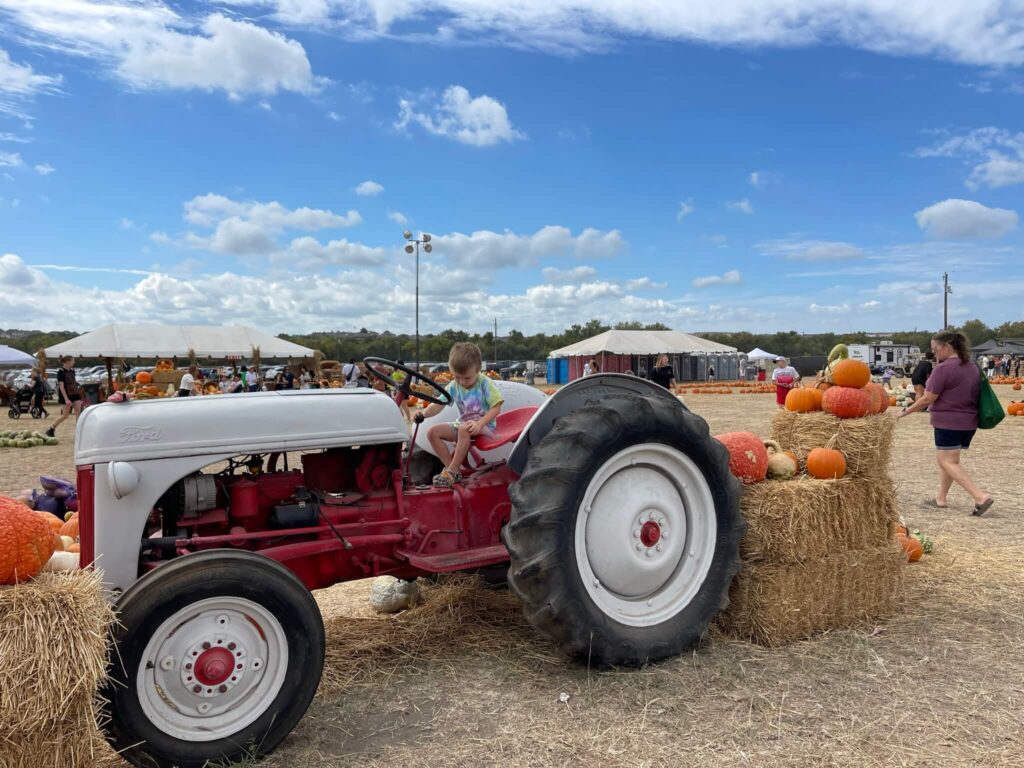 texas pumpkin fest in leander