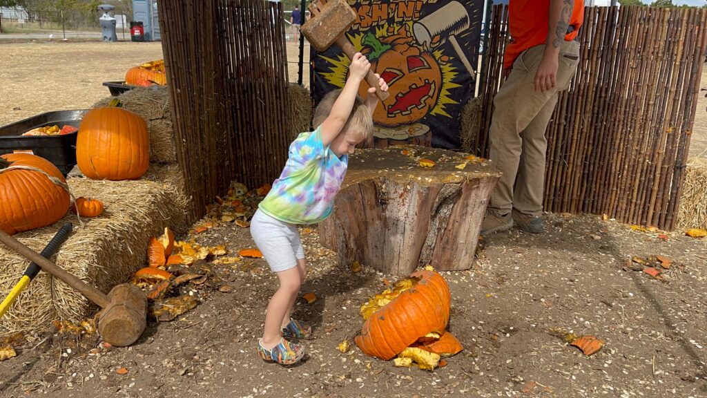 pumpkin smash at texas pumpkin fest in leander