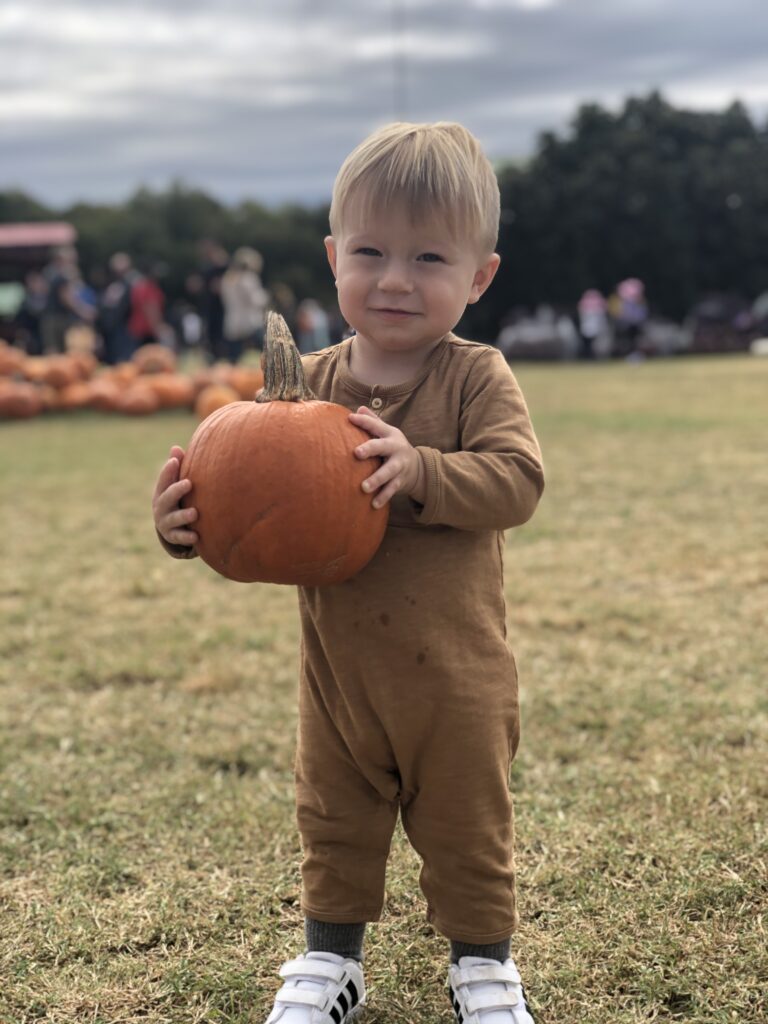 pumpkin at sweet berry farm in marble falls