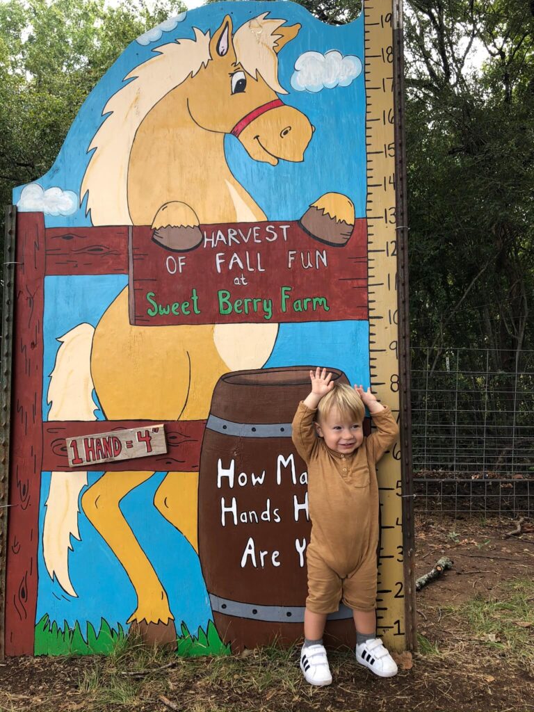 measuring at sweet berry farm