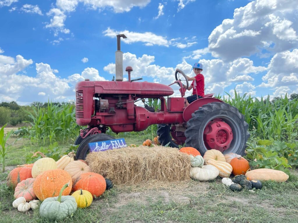 sweet eats fruit farm pumpkin patch