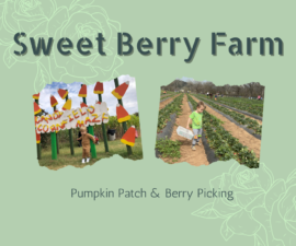 Sweet Berry Farm