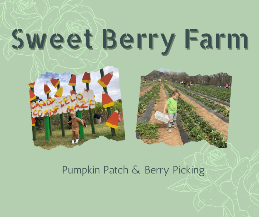 Sweet Berry Farm