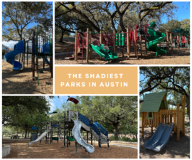 The Ultimate Guide To The Shadiest Parks in Austin