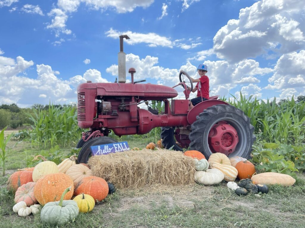 sweet eats fruit farm fall festival