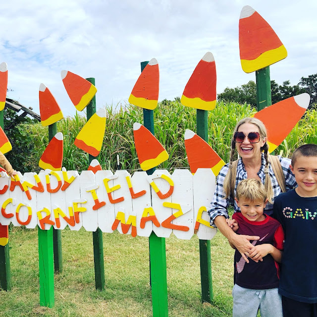 marble falls sweet berry farm harvest of fall fun corn maze