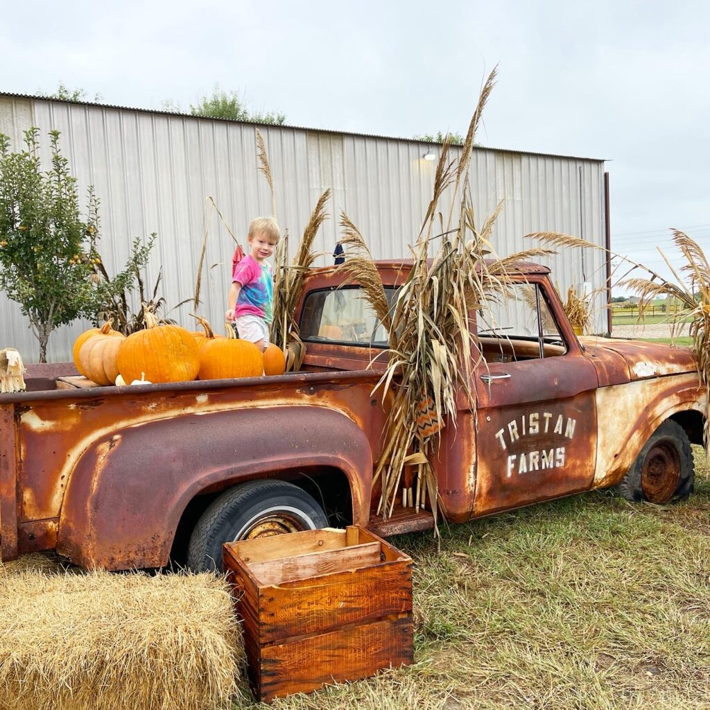 Mama Mary's Pumpkin Patch