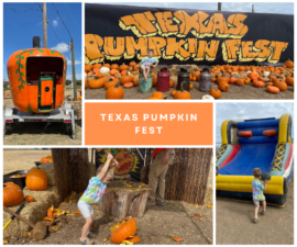 texas pumpkin fest (1)