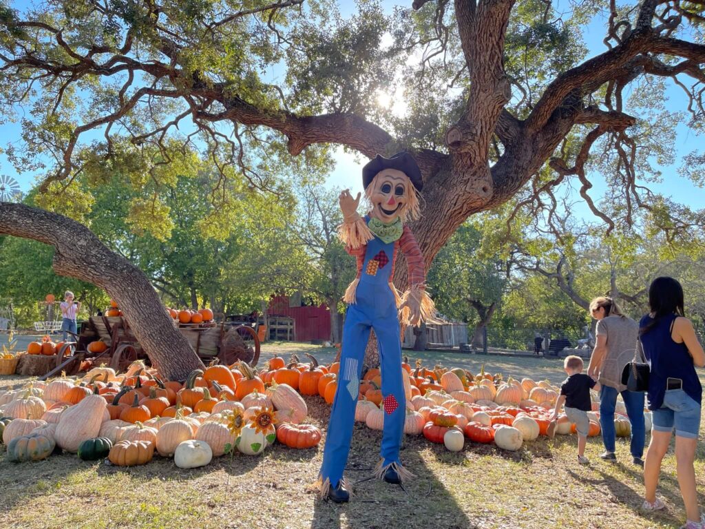 round rock pumpkin festival