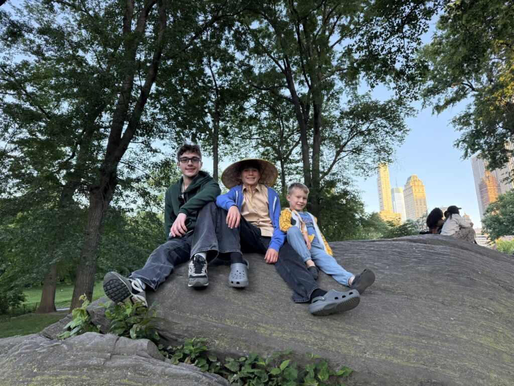 central park in new york