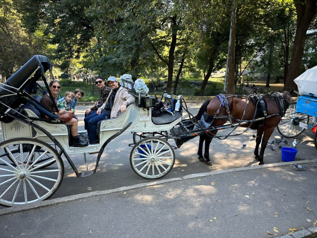 horse carriage ride central park new york