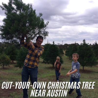 Cut-your-own christmas tree near austin