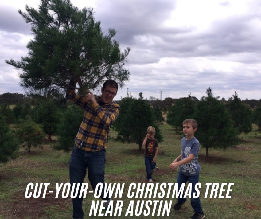 Cut-your-own christmas tree near austin