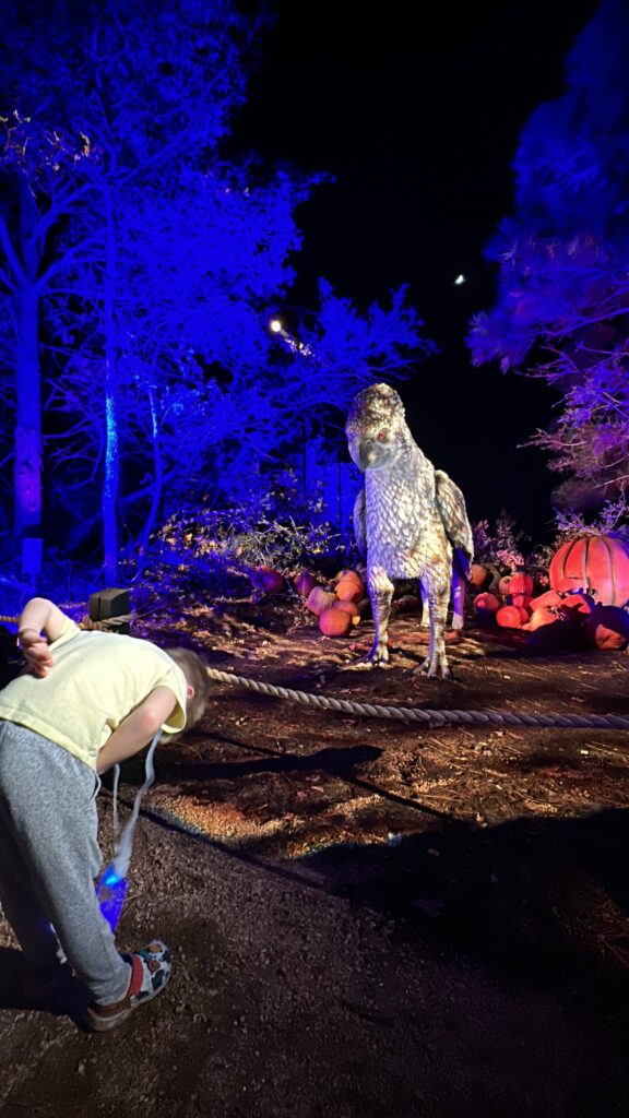 Harry Potter™: A Forbidden Forest Experience in Austin interactive hippogriff display